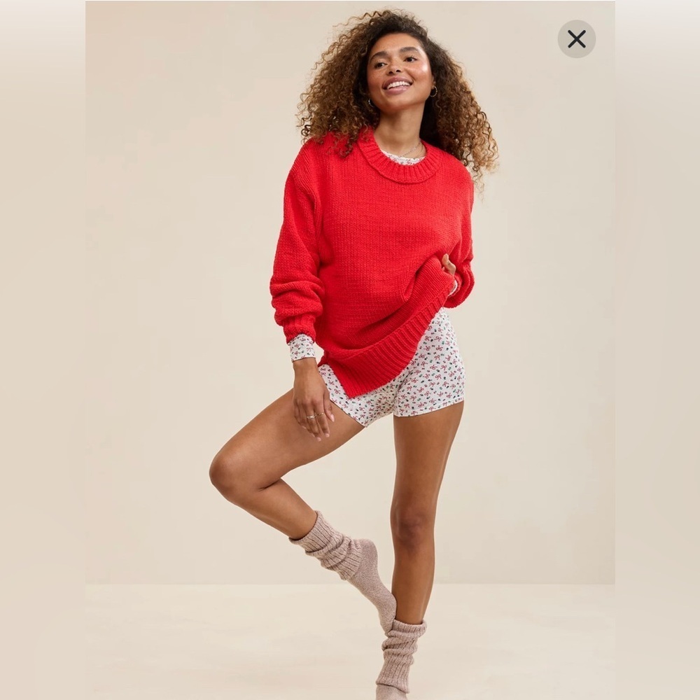 Aerie red Crew Neck Sweater L NWT
